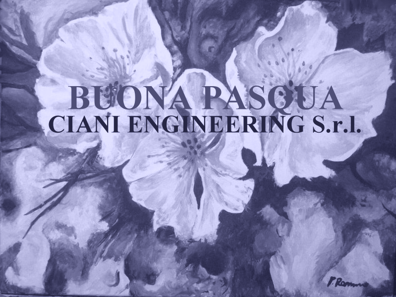 pasqua-2010.bmp
